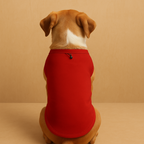 Premium Cotton Dog T-shirt