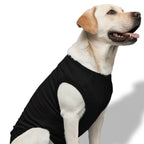 Premium Cotton Dog T-shirt